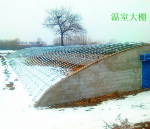 温室大棚5