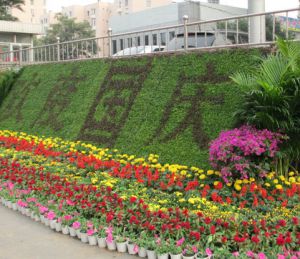 珠海节日花卉搭建