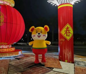 蔬菜大棚建设